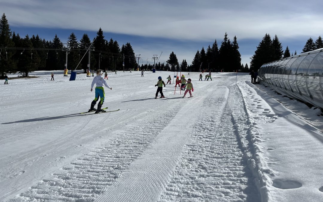 Smučarski tečaj 2024